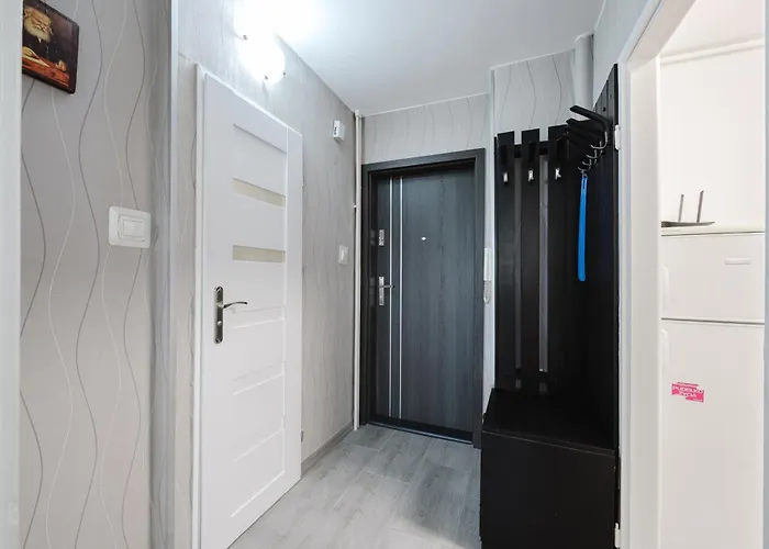 아파트 Cozy Comfort By Bookinghost 포즈난